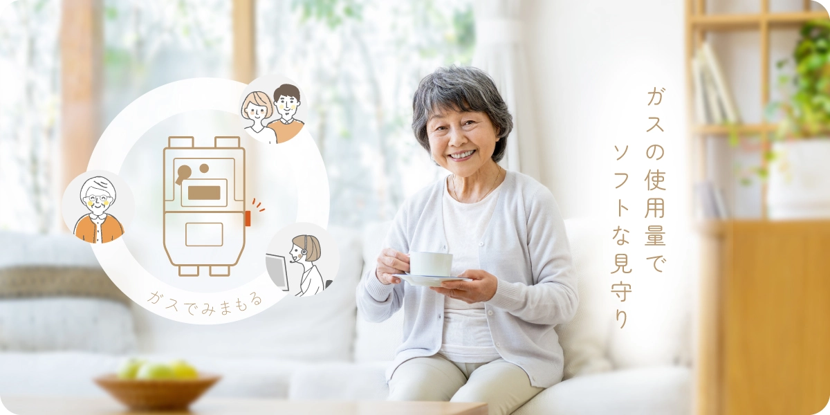 ガスデータでソフトなみまもり