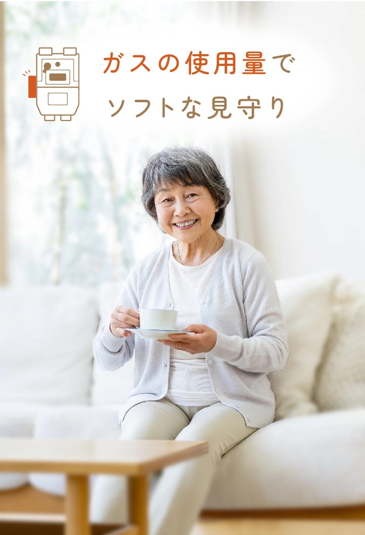 ガスデータでソフトなみまもり